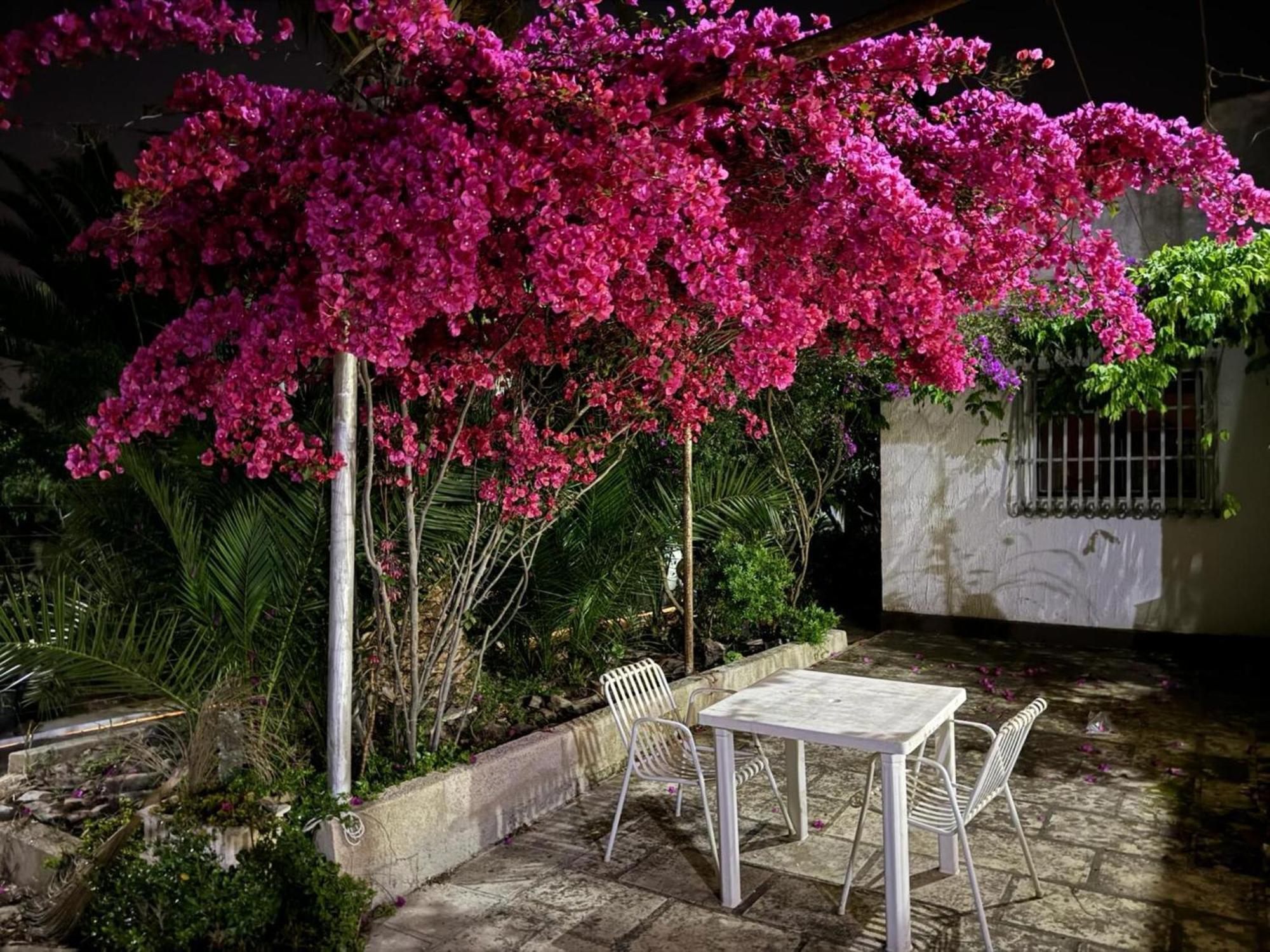 Villa Torretta - Mare Salento Marina di Lizzano Exterior photo